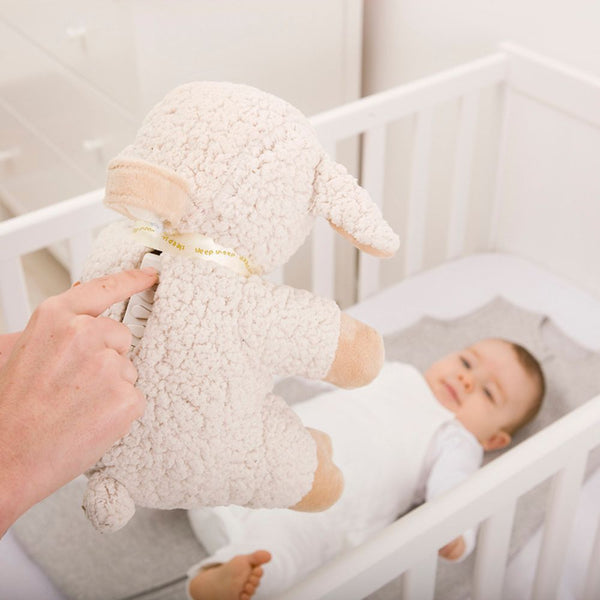 Sleep Sheep™ Spieluhr - Schlafendes Schaf - tablude.com