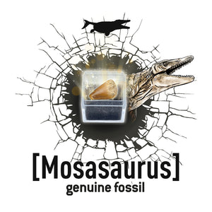 Kleiner Paläontologe - Brachiosaurus - tablude.com