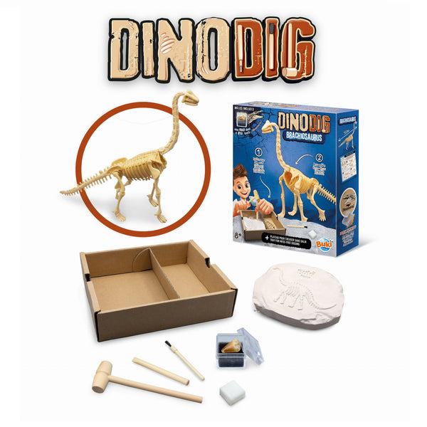 Kleiner Paläontologe - Brachiosaurus - tablude.com