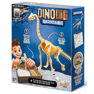 Kleiner Paläontologe - Brachiosaurus - tablude.com