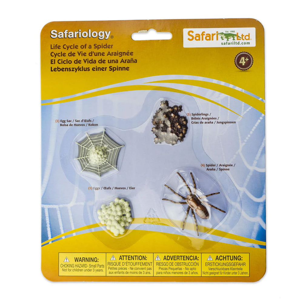 Figurenset Safariology - Der Lebenszyklus einer Spinne - tablude.com