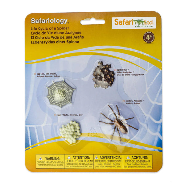 Figurenset Safariology - Der Lebenszyklus einer Spinne - tablude.com