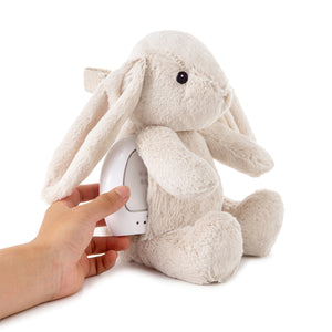 Noisy LoveLight Buddies Billy Bunny™ mit Bewegungssensor und Spieluhr - Kaninchen - tablude.com