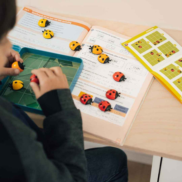 Gra logiczna Smart Games - Biedroneczki (PL)