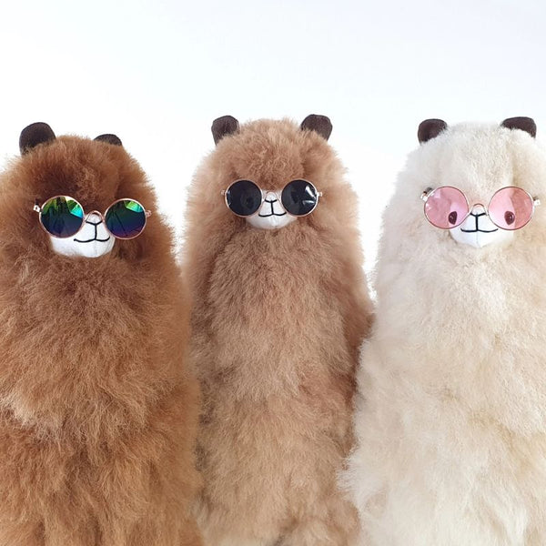 Brille für Alpakas – Smokey - tablude.com