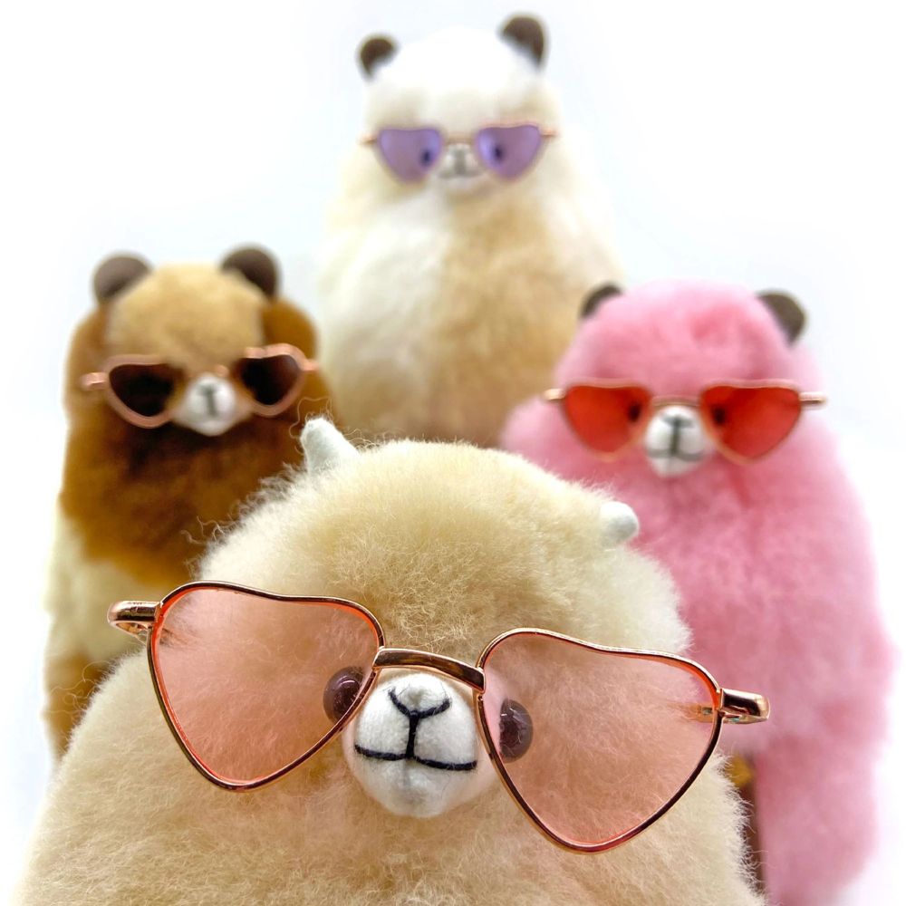 Herzförmige Brille für Alpakas – Red - tablude.com