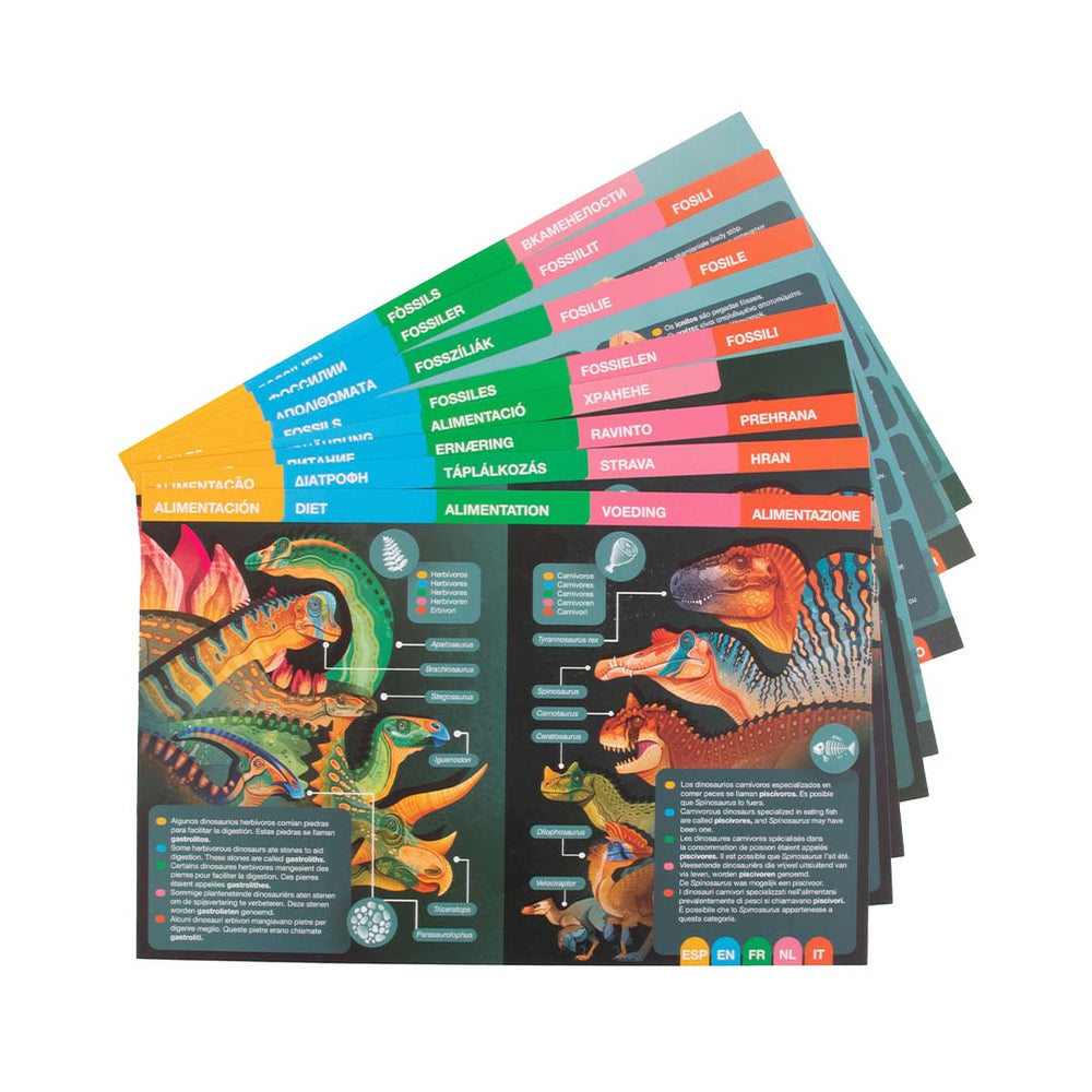 Magnetisches Lernpuzzle mit Karten – Dino