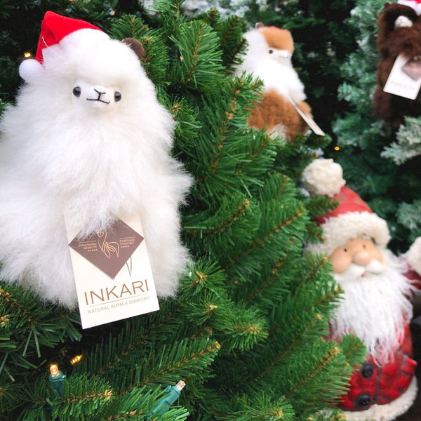 Eine Weihnachtsmannmütze für ein Alpaka
