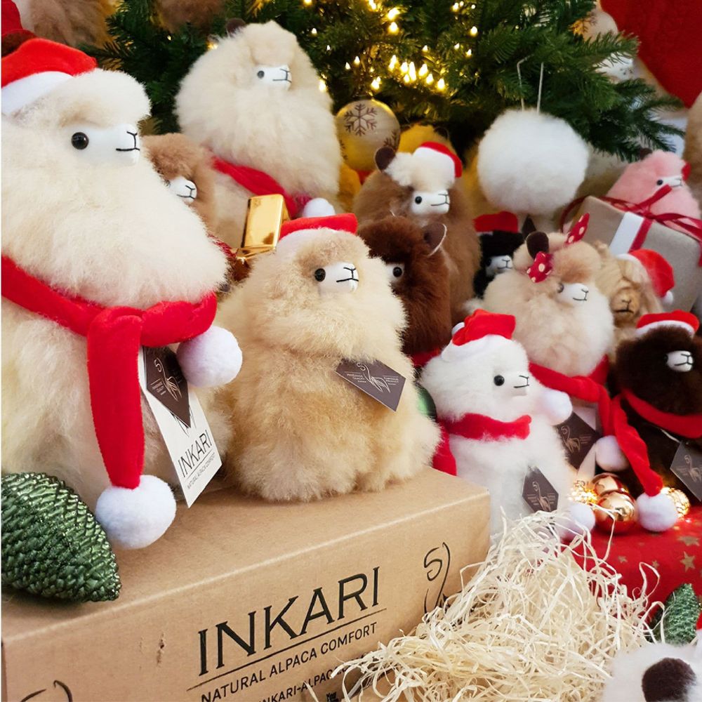 Eine Weihnachtsmannmütze für ein Alpaka