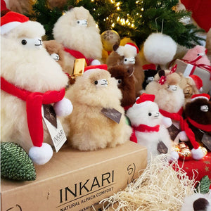 Eine Weihnachtsmannmütze für ein Alpaka