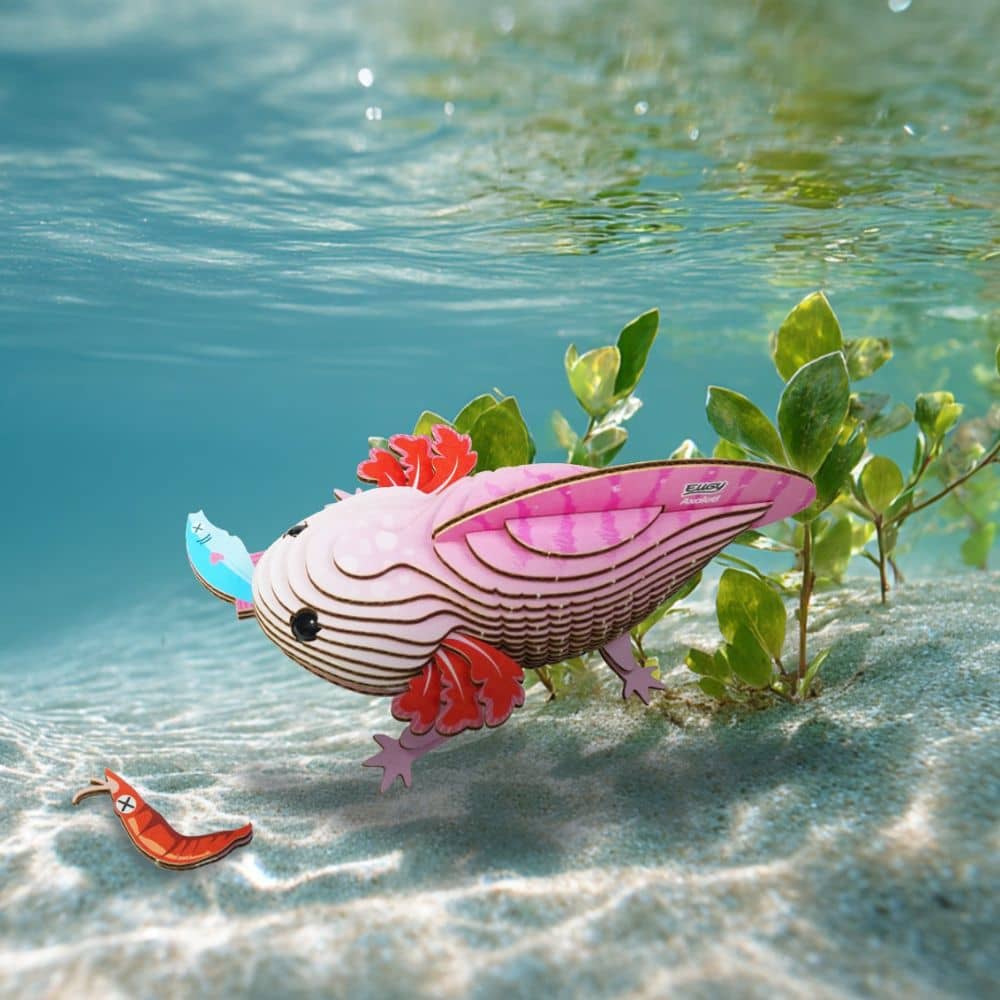 Öko-Puzzle 3D – Axolotl