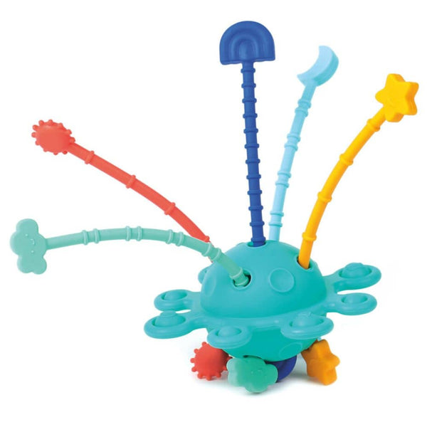 Manipulatives sensorisches Spielzeug Zippy