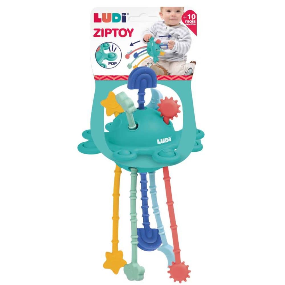 Manipulatives sensorisches Spielzeug Zippy