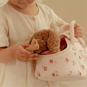 Der Hund Jackie in der Tasche