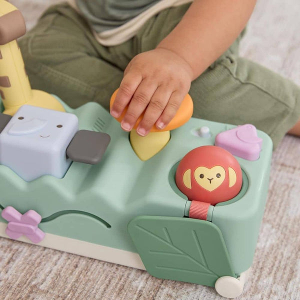 Musikspielzeug und geometrisches Steckspiel – Tiere 2-in-1