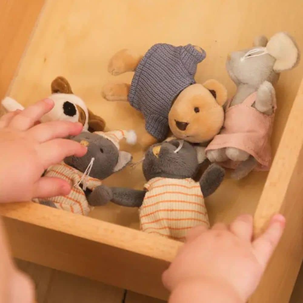 Mini-Kuscheltier Schweinchen Bart (8 cm)