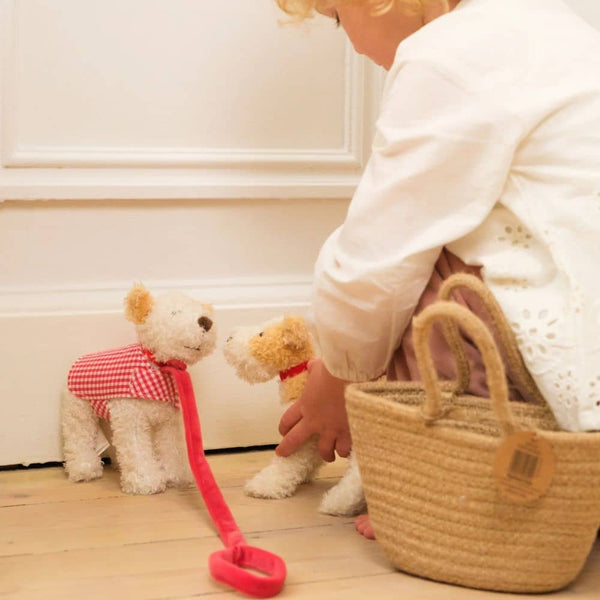 Mini-Hund Eliot aus Baumwollstrick – Mit Leine und Kleidung (13 cm)