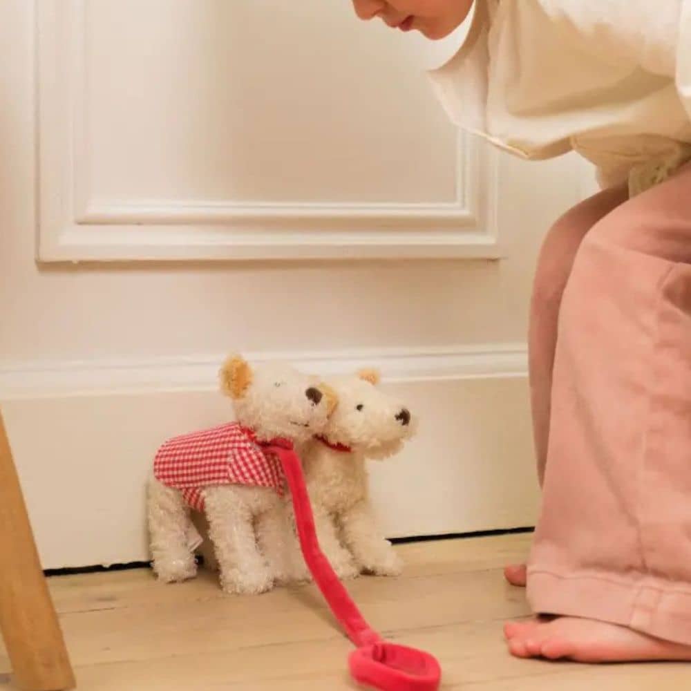 Mini-Hund Eliot aus Baumwollstrick – Mit Leine und Kleidung (13 cm)