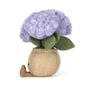 Amuseable Hortensie (24 cm)