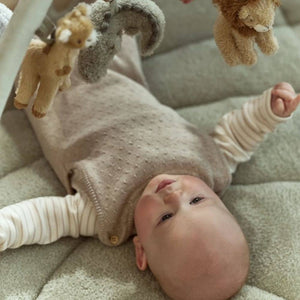 Entwicklungsmatte mit Bogen – Safari Friends