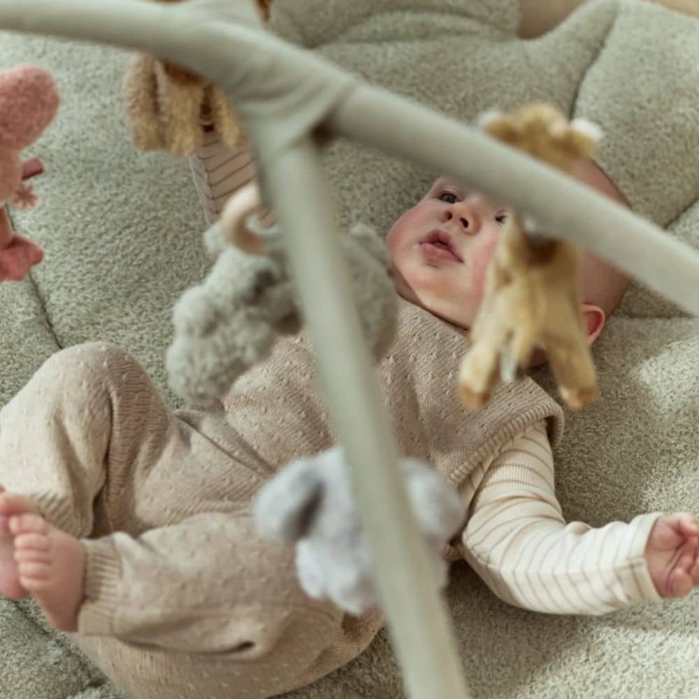 Entwicklungsmatte mit Bogen – Safari Friends