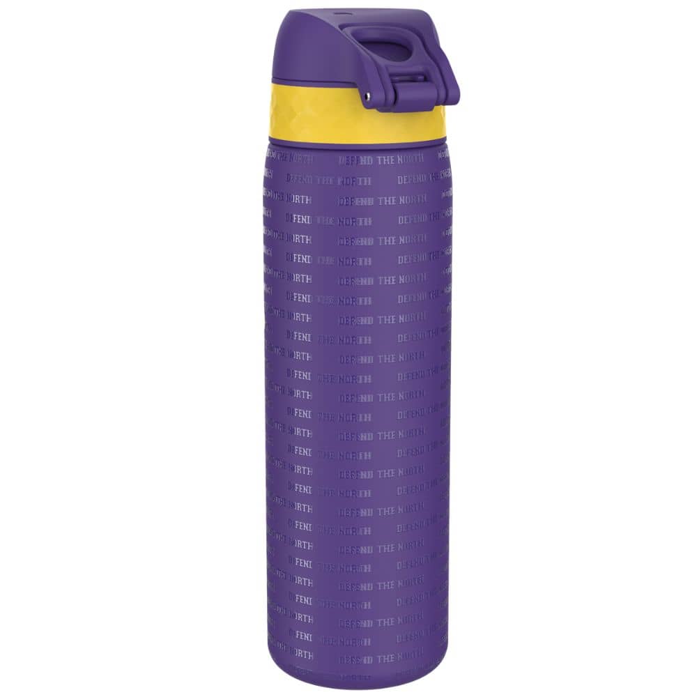 Stahlflasche 600 ml ION8 - NFL Vikings