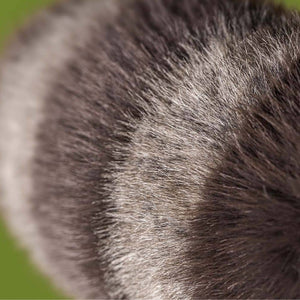Kuscheltier – Plüsch-Waschbär Trixiwoo, 24 cm