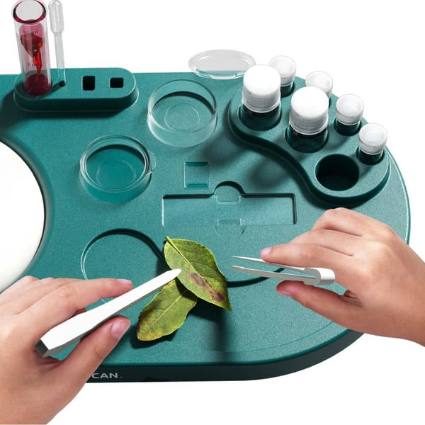 Vorbereitung einer Probe mit dem Laborset von Science Can
