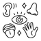 Sensorik