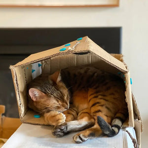 Werkzeugsatz für DIY-Konstruktionen – Create