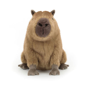 Plüsch-Kapibara – Clyde 24 cm - tablude.com