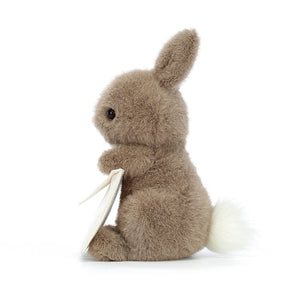 Plüschkaninchen – Postbote 19 cm - tablude.com