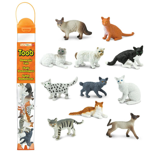 Figurenset in einer Tube TOOB - Hauskatzen - tablude.com