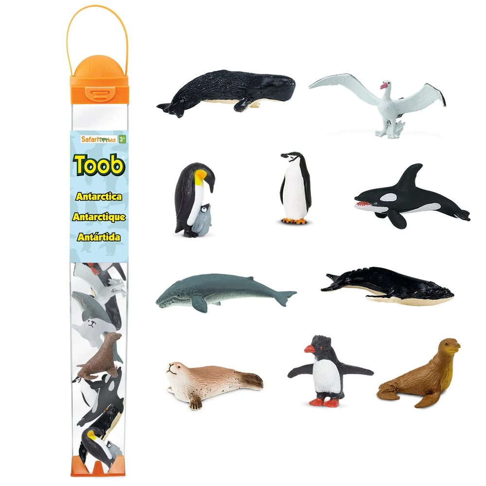 Figurenset in einer TOOB-Röhre – Tiere der Antarktis - tablude.com