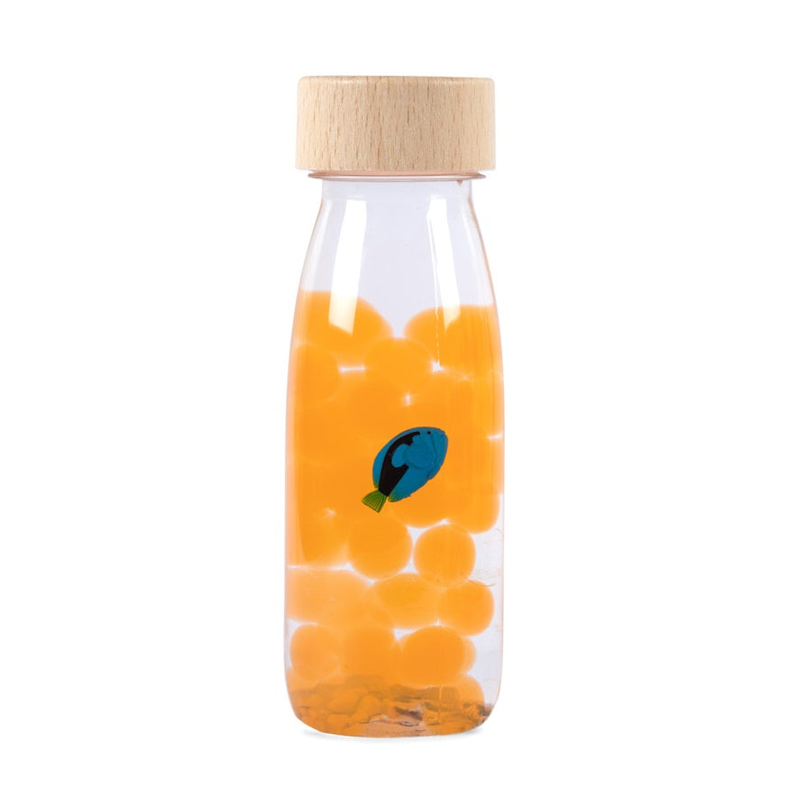 Beobachtungsflasche – Fisch Blue Tang - tablude.com