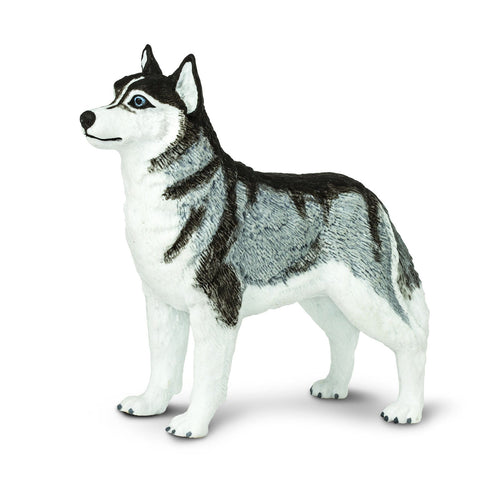 Figur – Siberian Husky - tablude.com