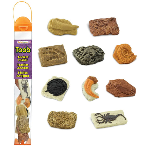 Figurenset in einer Tube TOOB – Fossilien - tablude.com