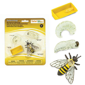 Figurenset Safariology – Lebenszyklus der Bienen - tablude.com