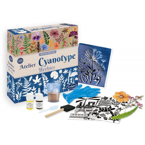 Herbarium in Cyanotypie-Technik