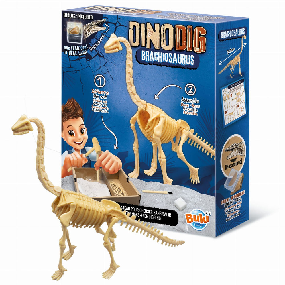 Kleiner Paläontologe - Brachiosaurus - tablude.com