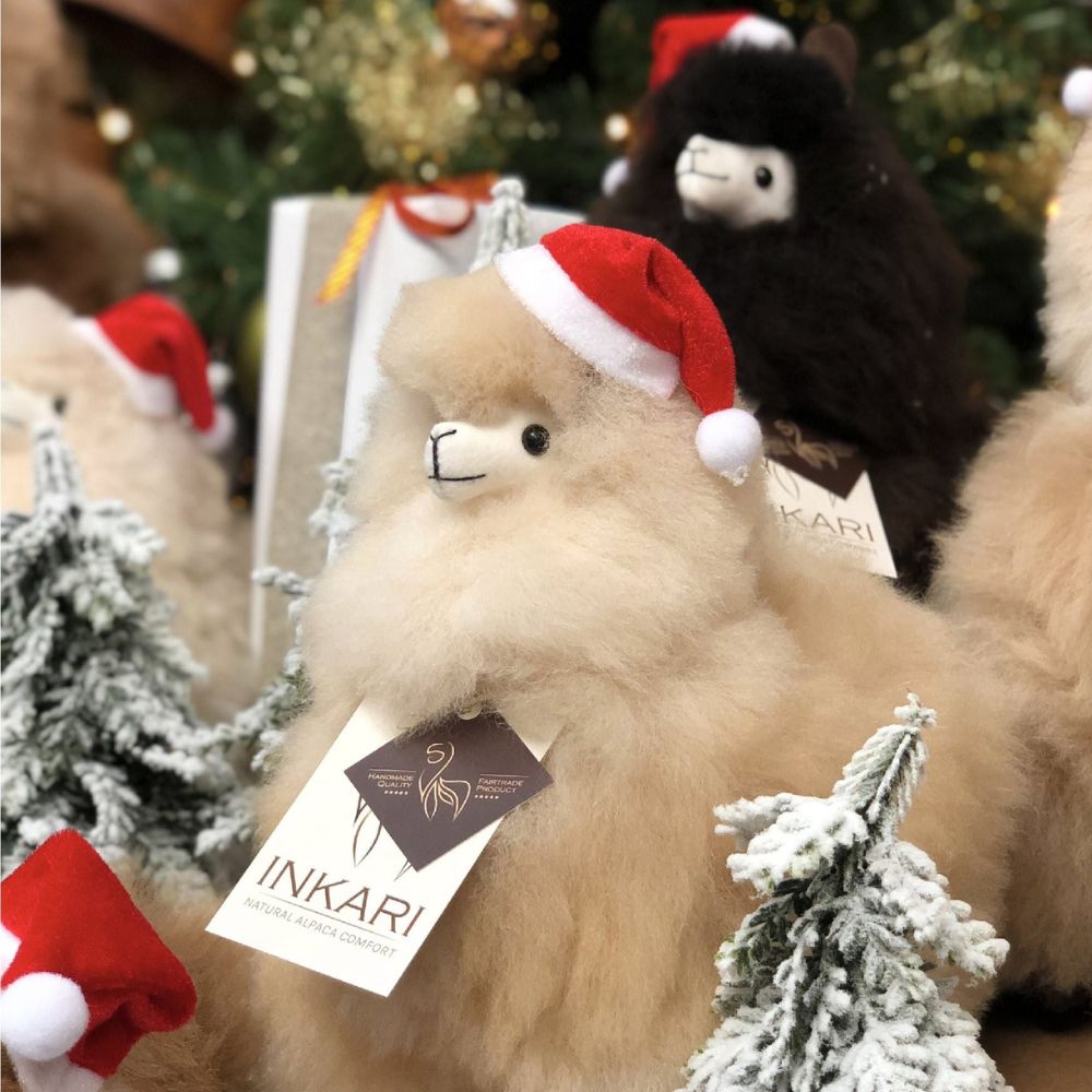 Eine Weihnachtsmannmütze für ein Alpaka