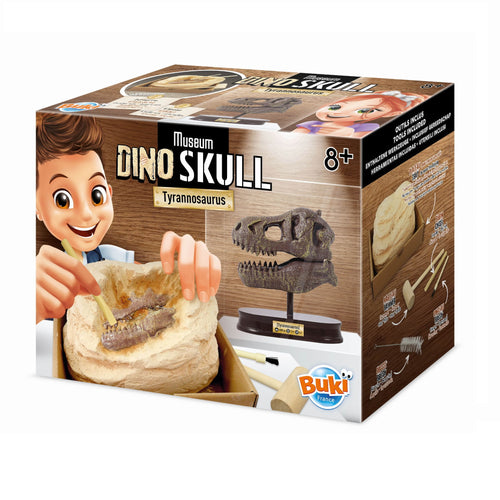 Dinosaurier-Schädelmuseum - Tyrannosaurus - tablude.com