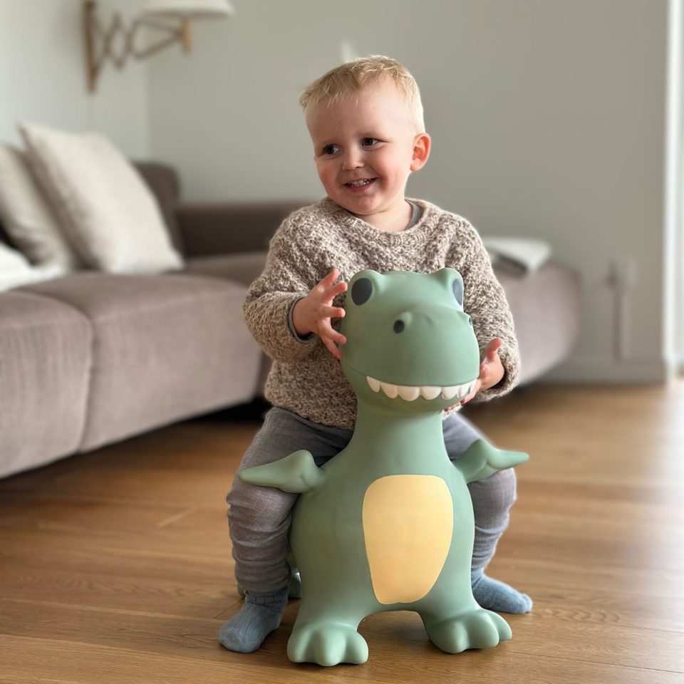 Springer – Dinosaurier - tablude.com