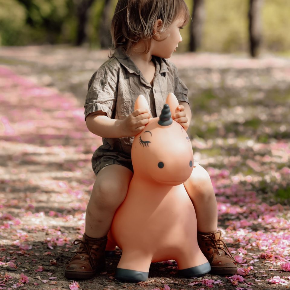 Springer – Einhorn - tablude.com