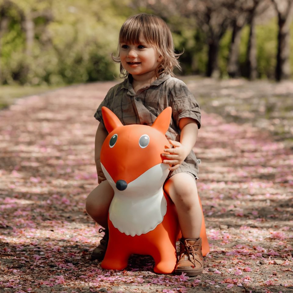 Springer – Fuchs - tablude.com