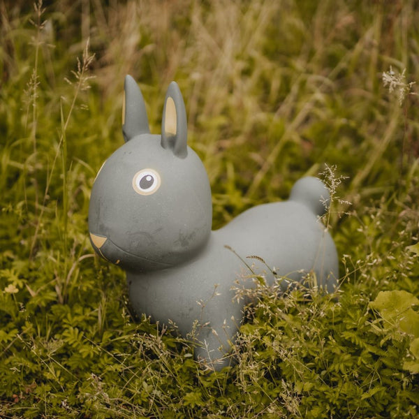 Springer – Hase - tablude.com