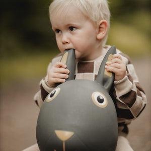 Springer – Hase - tablude.com